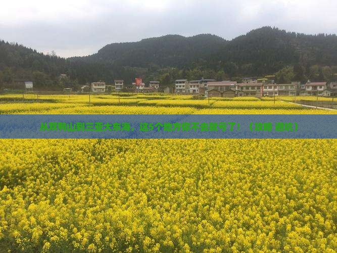 双鸭山前往三亚大东海必玩地