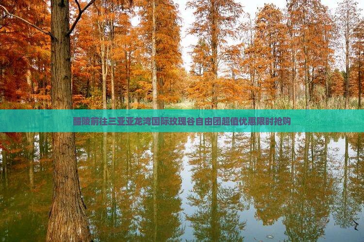 醴陵前往三亚亚龙湾国际玫瑰谷自由团