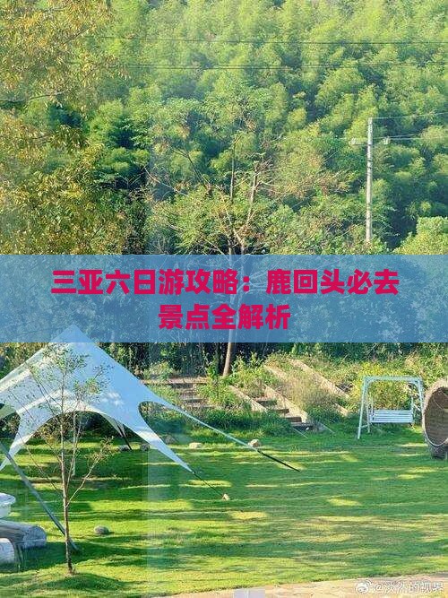 漯河去三亚鹿回头六日游