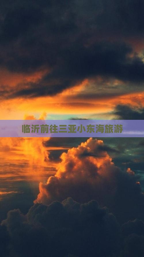 临沂前往三亚小东海旅游