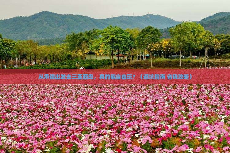 承德前往三亚西岛自由团