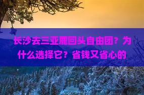 长沙去三亚鹿回头自由团