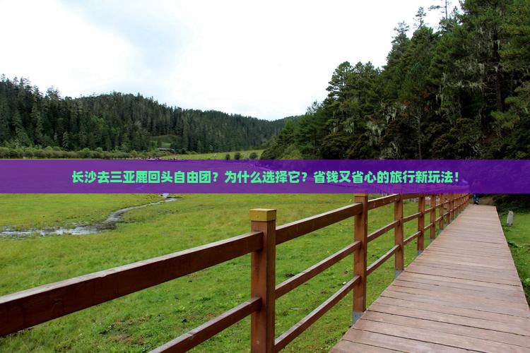 长沙去三亚鹿回头自由团