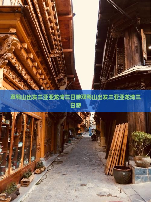 双鸭山出发三亚亚龙湾三日游