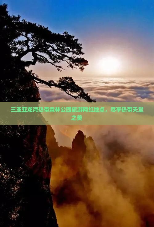 双鸭山去三亚亚龙湾热带森林公园旅游网红地点