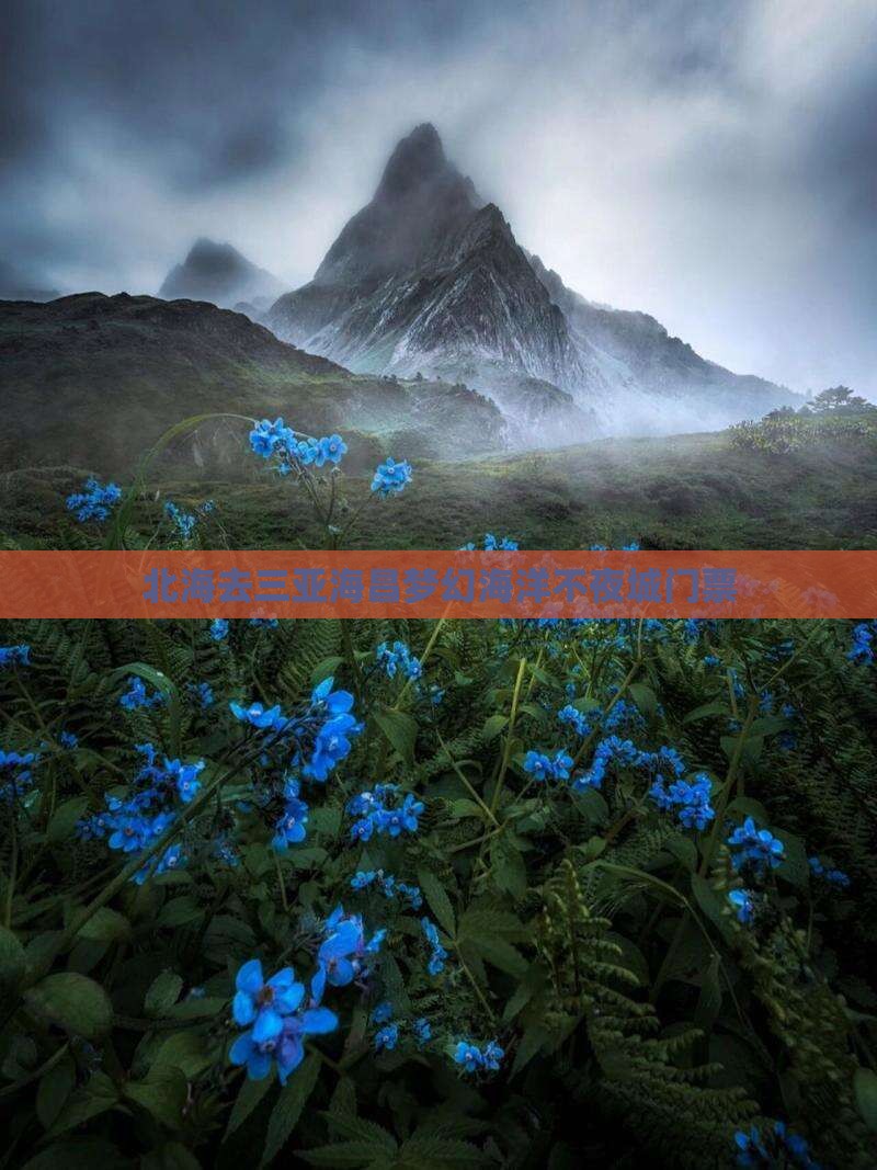 北海去三亚海昌梦幻海洋不夜城门票