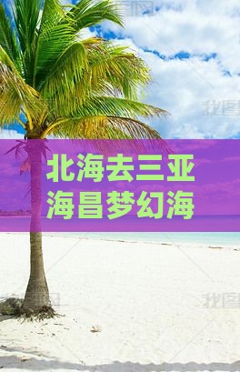 北海去三亚海昌梦幻海洋不夜城门票