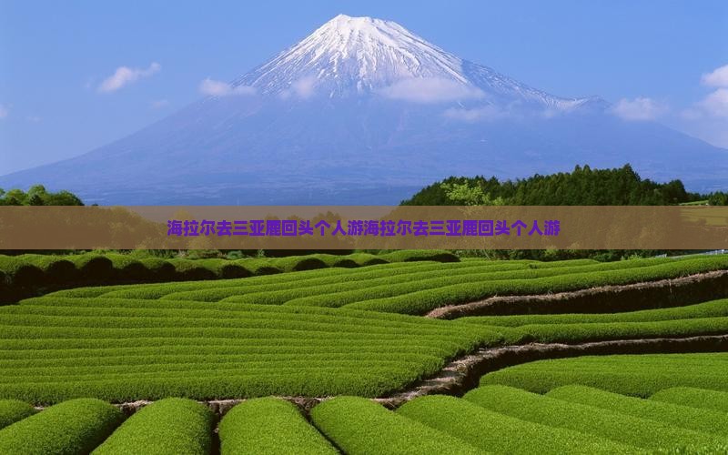 海拉尔去三亚鹿回头个人游