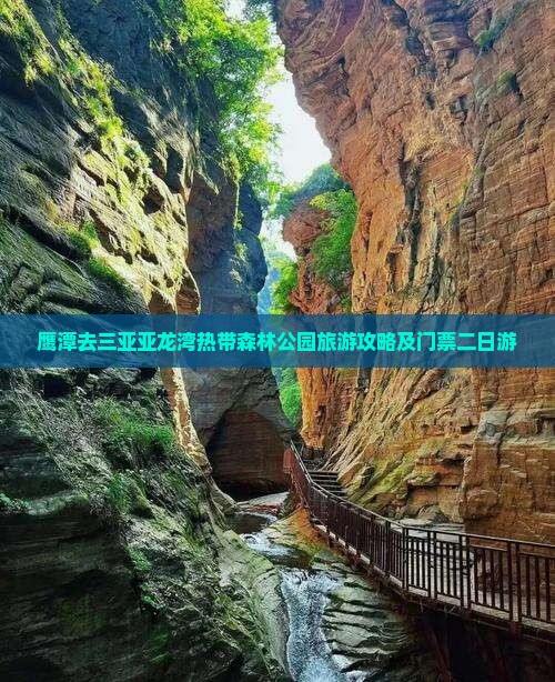 鹰潭去三亚亚龙湾热带森林公园二日游