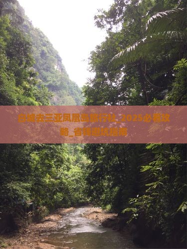 白城去三亚凤凰岛旅行社