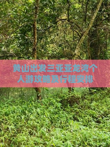 黄山出发三亚亚龙湾个人游