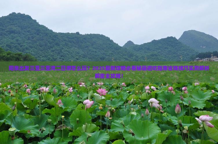 阳泉出发三亚三亚湾二日游