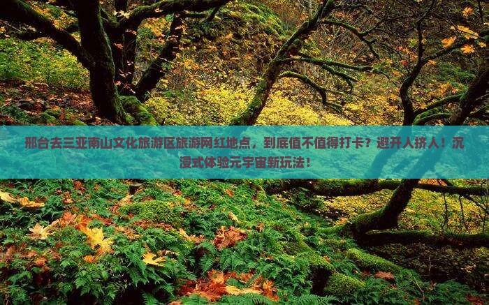 邢台去三亚南山文化旅游区旅游网红地点 邢台去三亚南山文化旅游区旅游网红地点