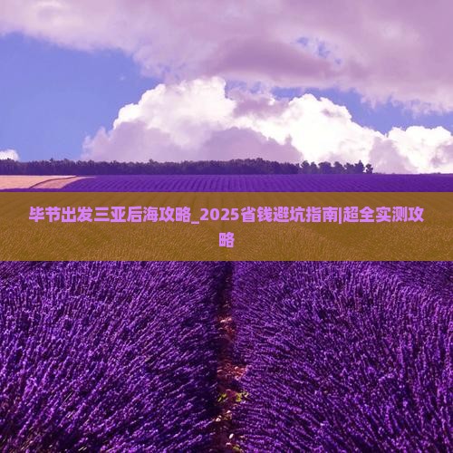 毕节出发三亚后海攻略