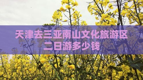 天津去三亚南山文化旅游区二日游