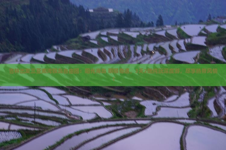 吉林出发三亚南湾猴岛自由团
