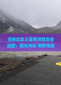 吉林出发三亚南湾猴岛自由团