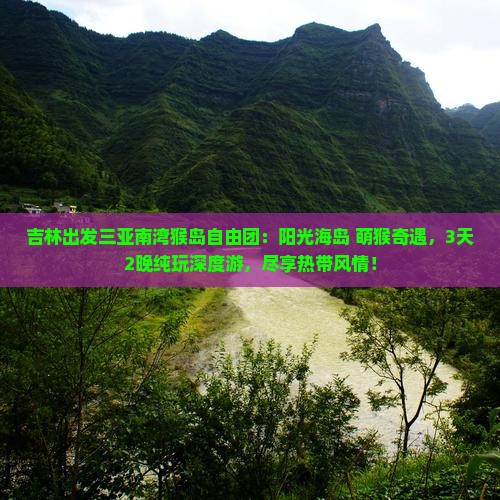 吉林出发三亚南湾猴岛自由团