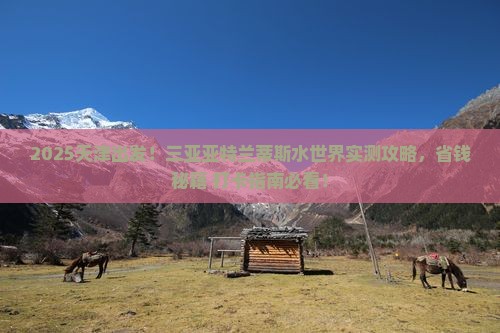 天津前往三亚亚特兰蒂斯水世界旅游打卡点