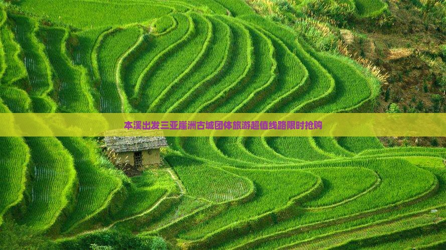 本溪出发三亚崖洲古城团体旅游