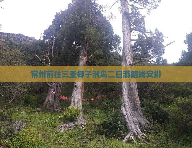 常州前往三亚椰子洲岛二日游