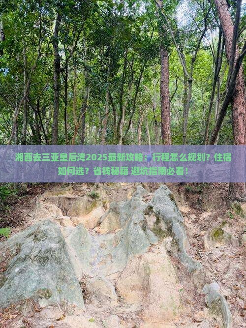 湘西去三亚皇后湾旅行社