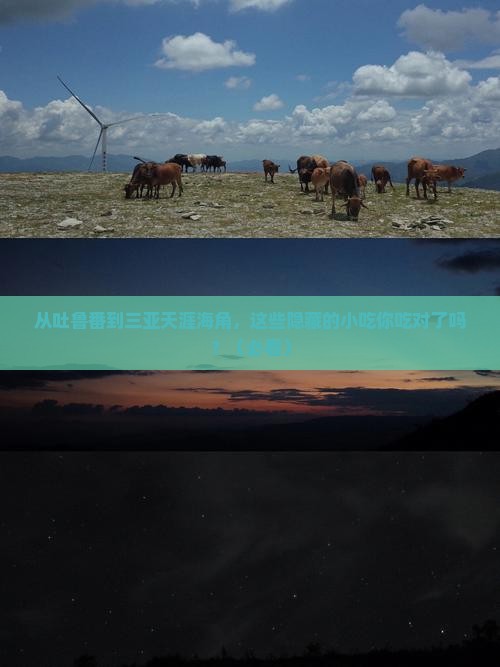 吐鲁番前往三亚天涯海角旅游小吃