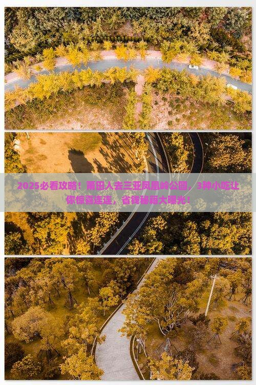 莆田前往三亚凤凰岭公园旅游小吃