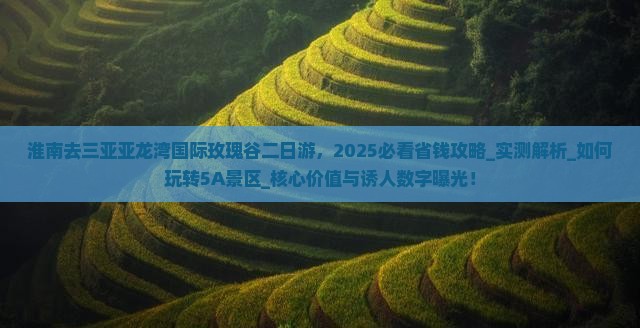 淮南去三亚亚龙湾国际玫瑰谷二日游