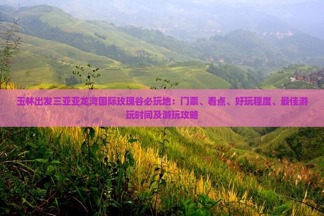 玉林出发三亚亚龙湾国际玫瑰谷必玩地