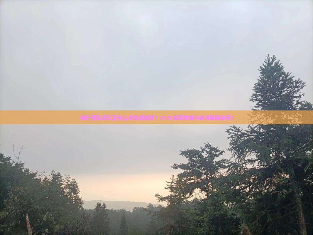 喀什去三亚半山半岛帆船港团体旅游