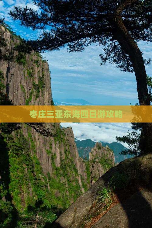 枣庄前往三亚小东海四日游
