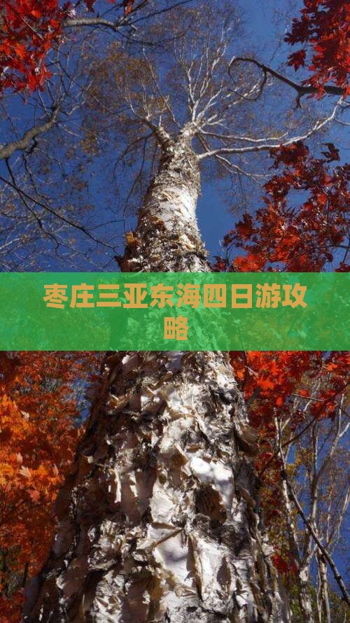 枣庄前往三亚小东海四日游