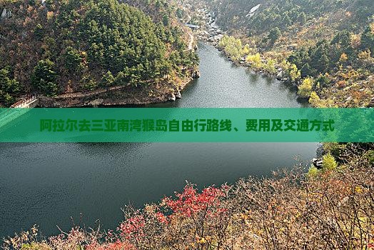阿拉尔去三亚南湾猴岛自由行