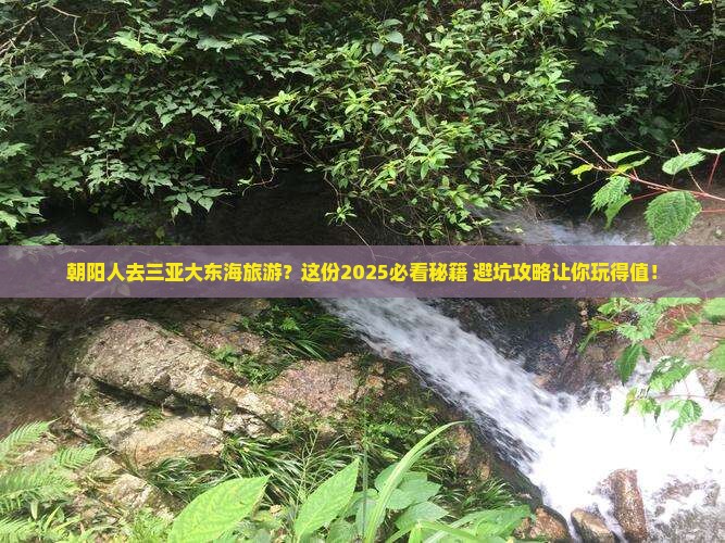 朝阳去三亚大东海旅游