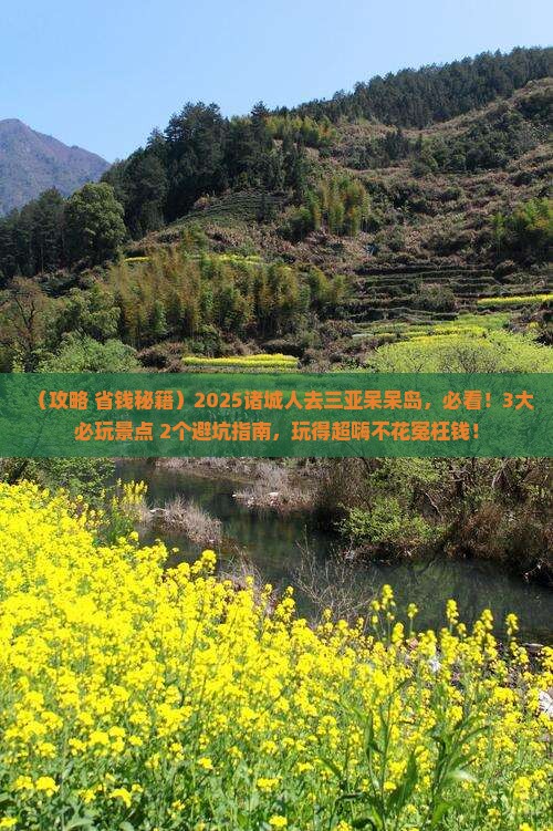 诸城去三亚呆呆岛哪里玩