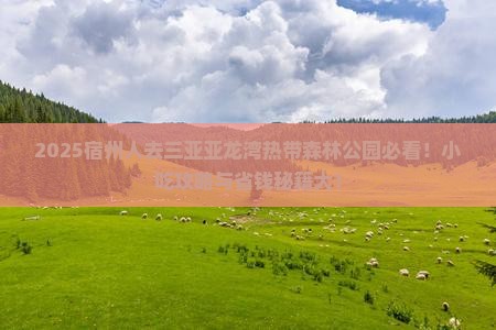 宿州前往三亚亚龙湾热带森林公园旅游小吃