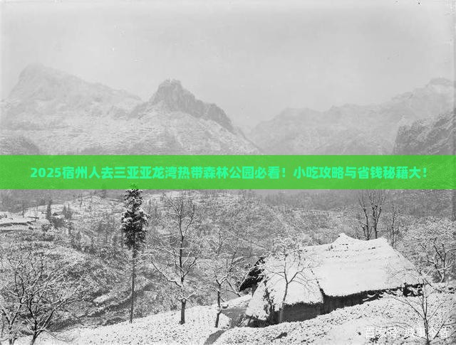 宿州前往三亚亚龙湾热带森林公园旅游小吃