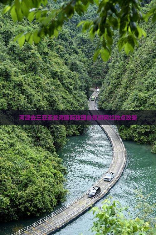 河源去三亚亚龙湾国际玫瑰谷旅游网红地点