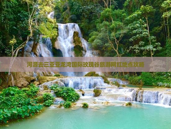 河源去三亚亚龙湾国际玫瑰谷旅游网红地点