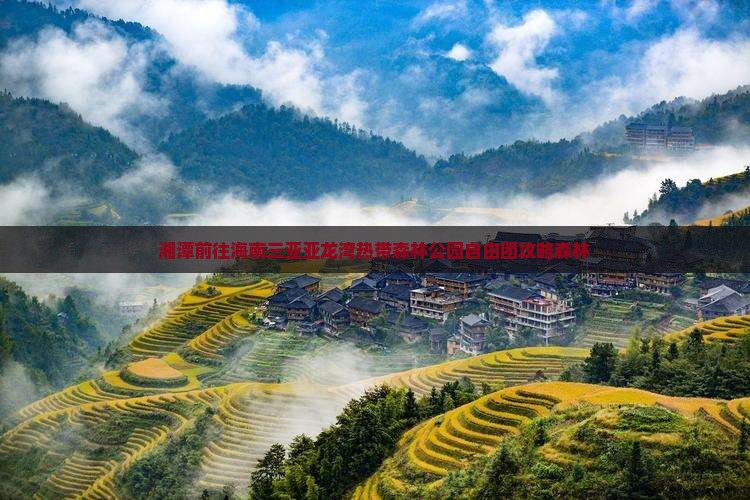 湘潭前往三亚亚龙湾热带森林公园自由团