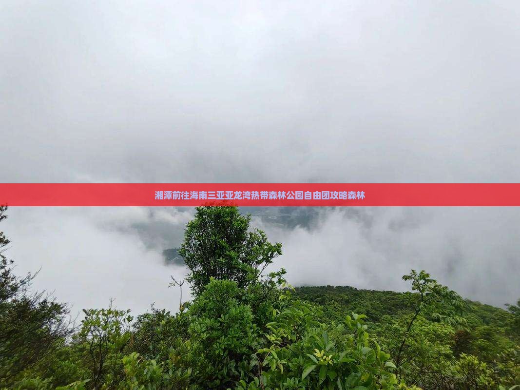 湘潭前往三亚亚龙湾热带森林公园自由团