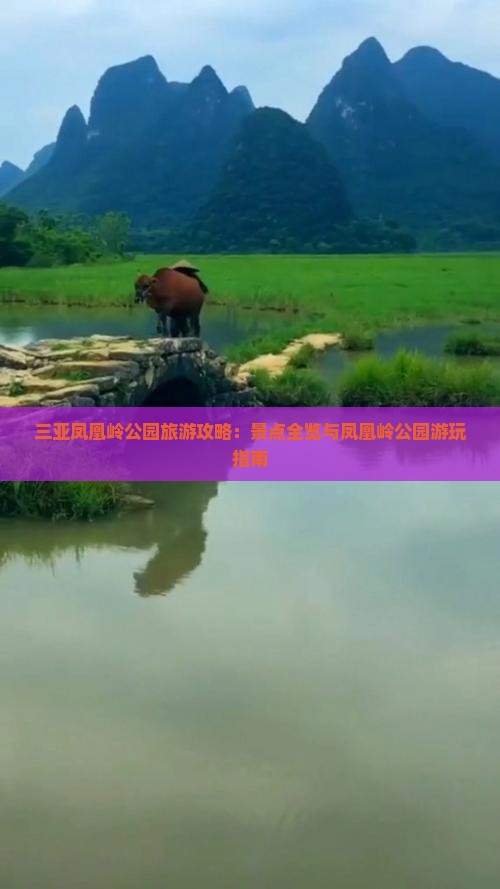普洱去三亚凤凰岭公园哪里玩