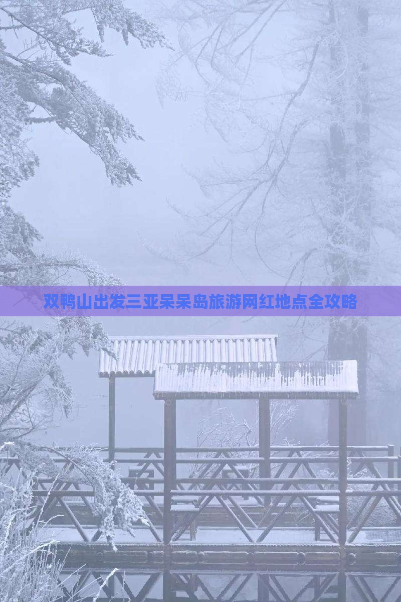 双鸭山出发三亚呆呆岛旅游网红地点