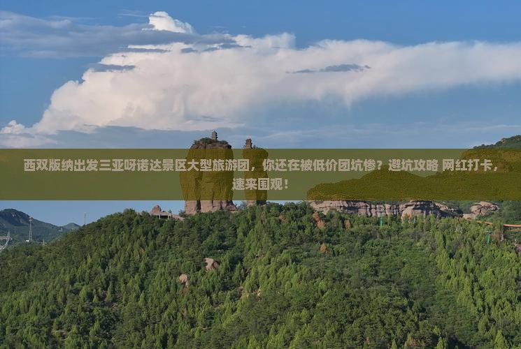 西双版纳出发三亚呀诺达景区大型旅游团