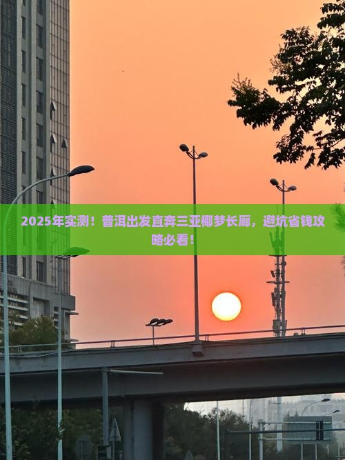 普洱出发三亚椰梦长廊旅游打卡点