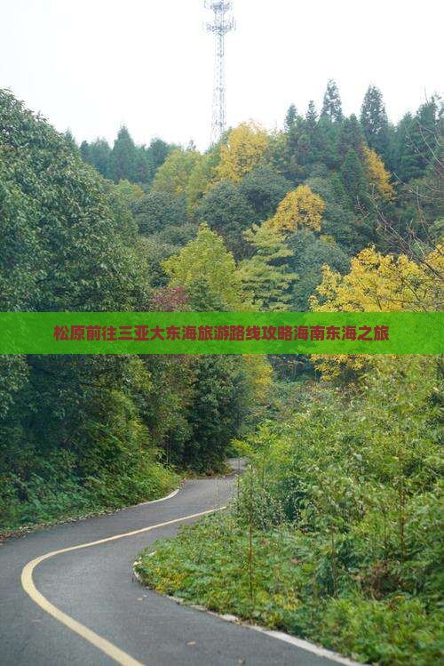 松原前往三亚大东海旅游