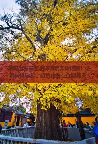 德阳前往三亚后海哪里玩