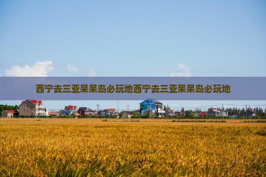 西宁去三亚呆呆岛必玩地