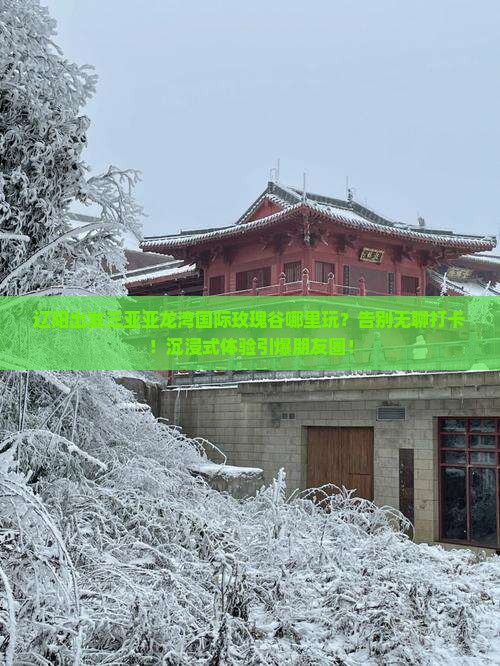 辽阳出发三亚亚龙湾国际玫瑰谷哪里玩
